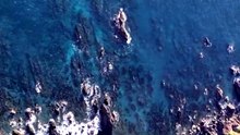 5 découvertes incroyables dans le monde