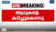 തിരുവനന്തപുരം കാട്ടാക്കടയിൽ തെരുവുനായ ആടുകളെ കടിച്ചുകൊന്നു