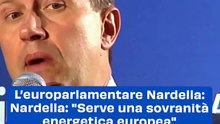 "Nardella: Verso la Sovranità Energetica Europea per Superare la Dipendenza dal Gas"