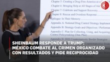 “Nosotros estamos actuando": Sheinbaum responde con resultados a dichos de Trump sobre seguridad