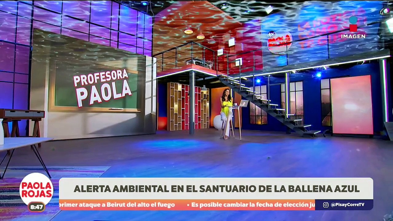 ¿Qué tanto conoces de la Ballena Azul? | De Pisa y Corre con Paola Rojas