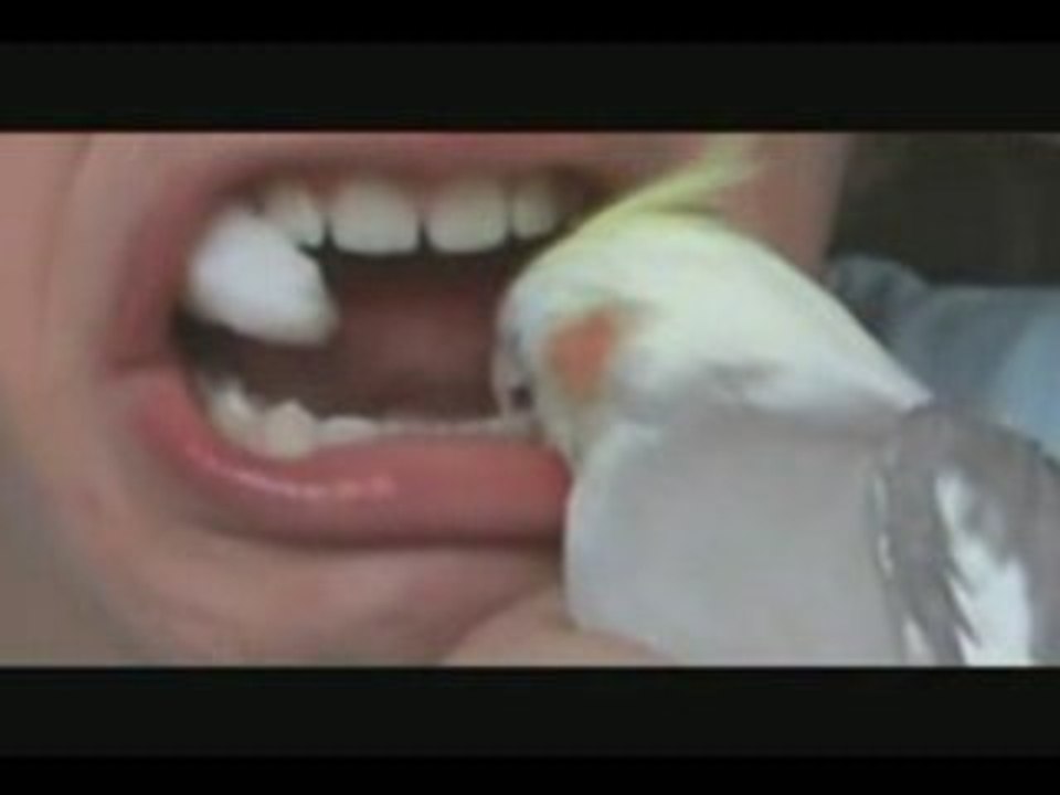 Fred Goes to the Dentist