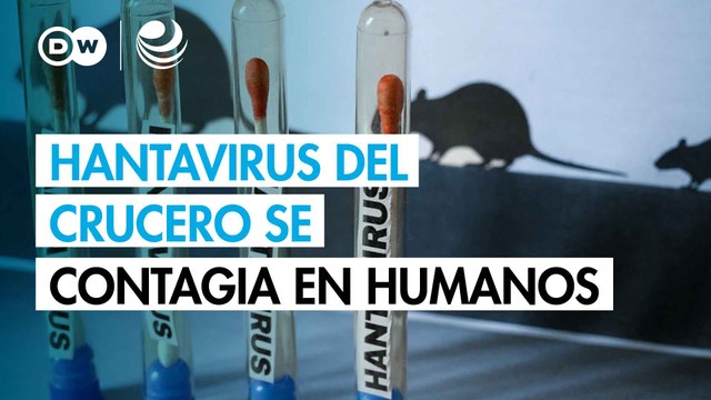 Hantavirus del crucero se contagia en humanos