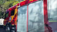 Bombeiros são mobilizados para captura de cobra Coral na Rua Ônix