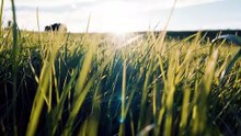 Musique Relaxante pour Se Détendre 🌿 Sommeil Profond, Anti-Stress et Méditation