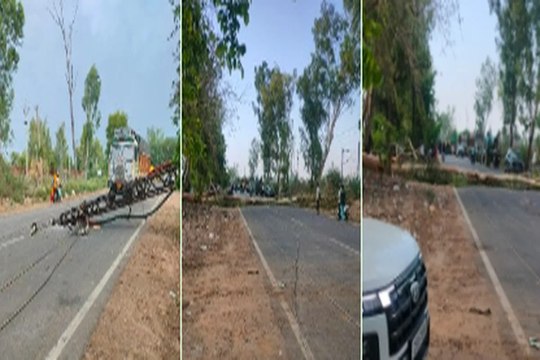 अलवर में अचानक आए अंधड़ ने मचाई तबाही, पेड़ और बिजली के पोल गिरे .... देखे वीडियो....