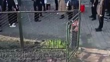 hog farm boss's rom ance