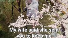MY LADY SHIELD ME