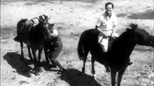 Warning to Wantons (1949) Full Movie ｜ Harold Warrender, Anne Vernon, David Tomlinson [Full Movie] [Must See]Full EP - Full