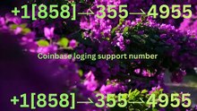 【ALL-IN-ONE】 ≋【Coinbase® {Help Desk Wallet SuppoRt}™ — Toll-Free Numbers & Support Options