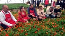 5. Uluslararası Antalya FoodFest Gastronomi Festivali Akdeniz yeşillikleri hasadıyla başladı