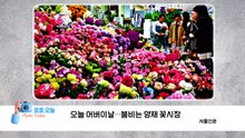 [포토오늘] 0508 오늘 어버이날...붐비는 양재 꽃시장 / YTN