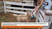 BUSCAN INSTALAR LA CARNE OVINA EN LA MESA DIARIA CON PRECIOS COMPETITIVOS Y MAYOR PRODUCCIÓN LOCAL