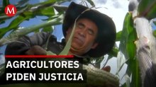 La razón por la que no hay recursos para el campo: el agujero negro de SEGALMEX