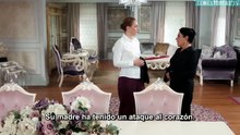 Gelin Capítulo 337 | La Novia | Novela Turca en Español
