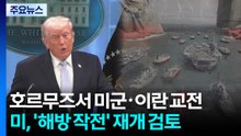 호르무즈서 미군·이란 교전...미, '해방 작전' 재개 검토 / YTN