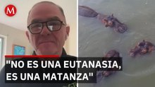 El último esfuerzo de México para evitar la matanza de hipopótamos en Colombia