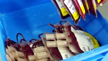 Acercarán unidades móviles de donación a colonias y universidades