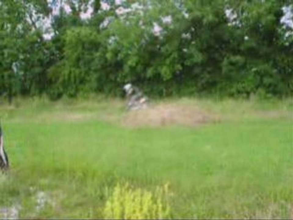 Session du 11-06-08 Accri & Tymous