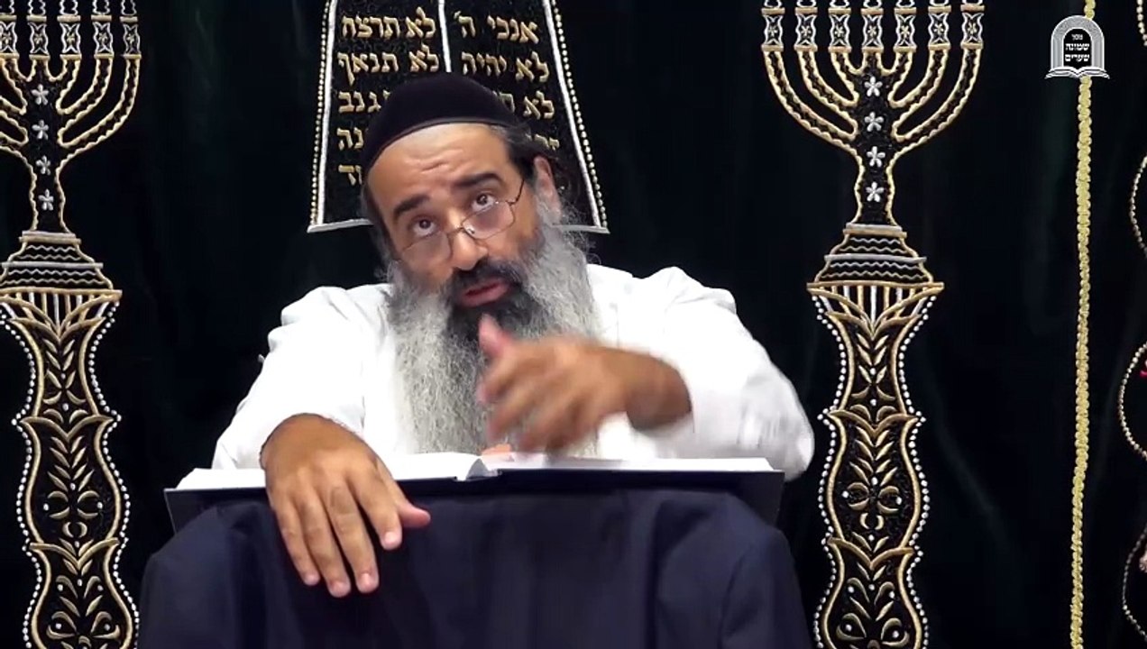 פנימיות דחיצוניות 14