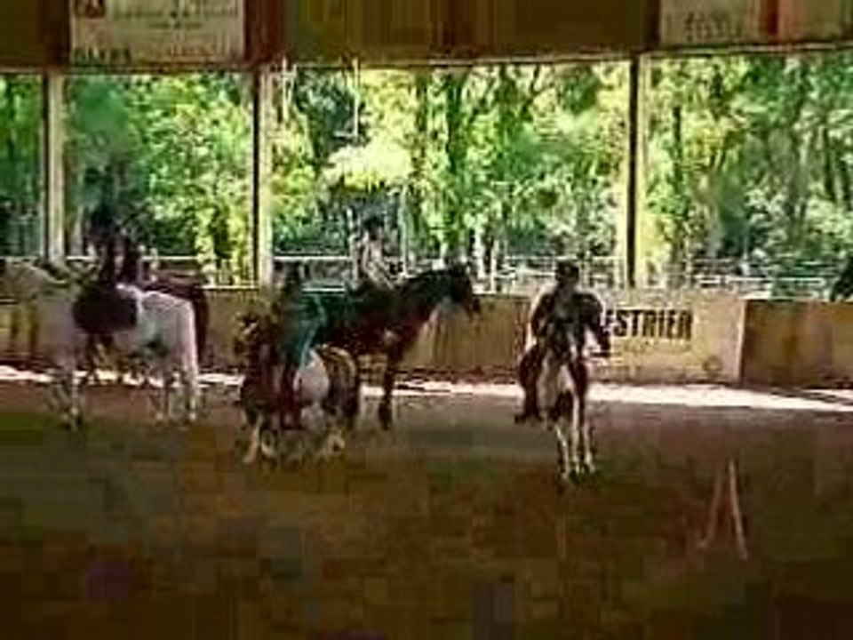 DSCN1365