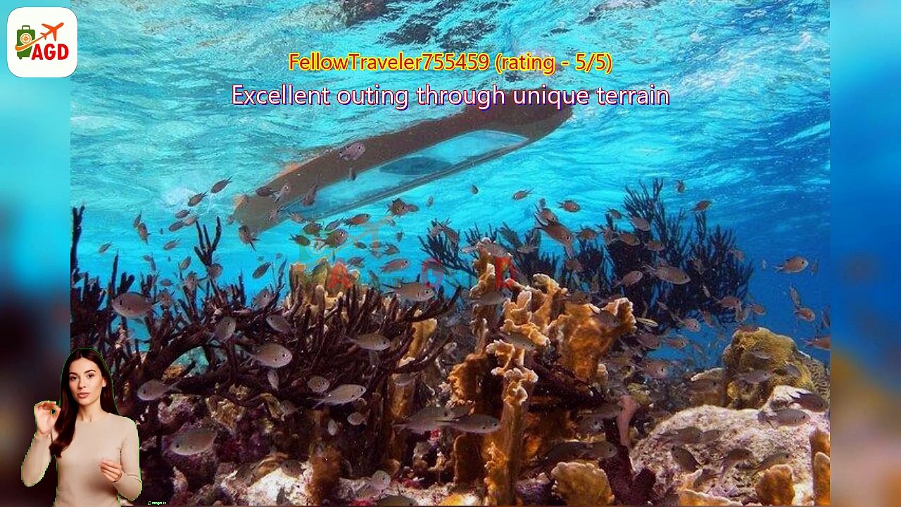 AGD - Review Clear Bottom Mangrove Kayak and Snorkel Tour – Bonaire