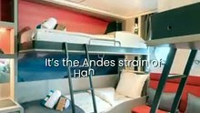 Cruise Ship Hantavirus Outbreak | MV Hondius | Virus | Covid | Norovirus | Rodent Droppings | Person-to-Person | Close Contact | 8-week incubation Window | Global Health Hunt | Britain | Spain | Quarantine | WHO | World Health Organization | Rare Regional