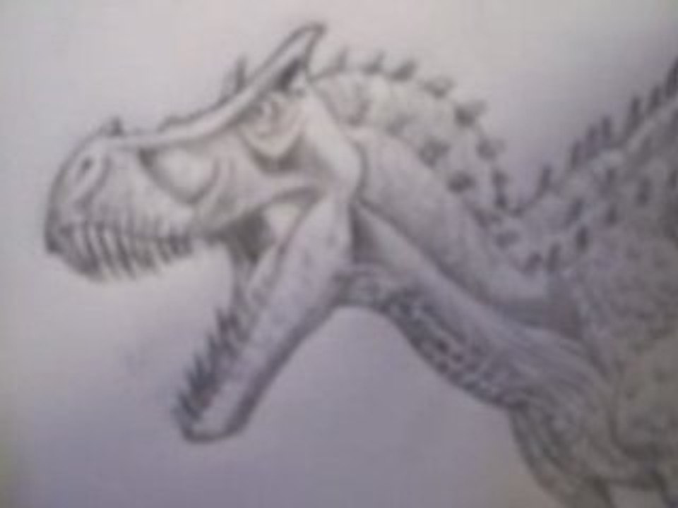 Jurassic Park boodiney.
