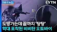 고양이 사냥하듯 비비탄총 '탕탕'... 항의하자 곧바로 도주 [지금이뉴스] / YTN