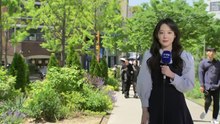 [날씨] 쾌청한 어버이날, 낮 동안 선선...오후 한때 강원 비 / YTN