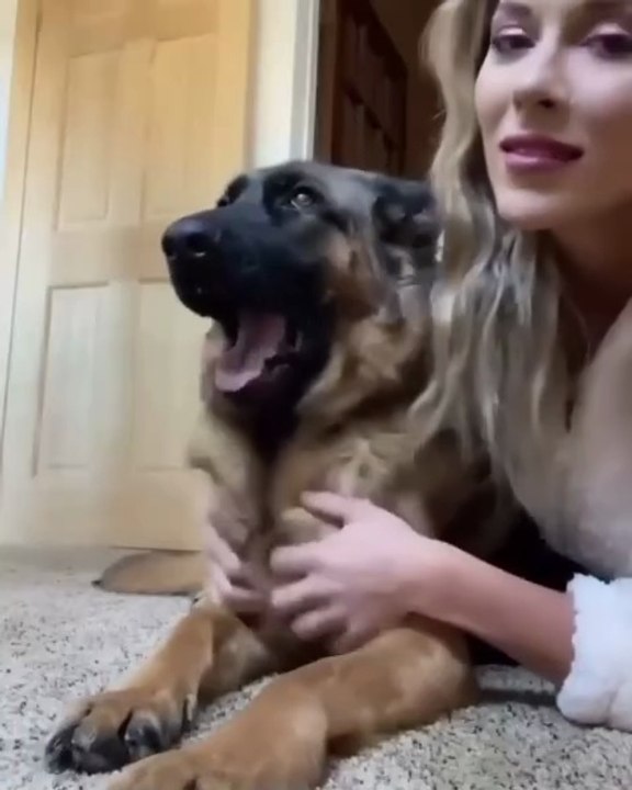 Funniest German Shepard dog 🐶🐾😂😂😂😂😂😂😂😂😂😂😂follow me please subscribe plz