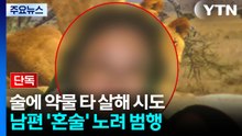 [단독] '술에 약' 남편 살해 시도...부인·태권도 관장 영장 / YTN