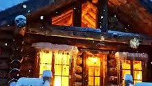 Rustic Cabin Sanctuary | Peaceful Forest Dwelling