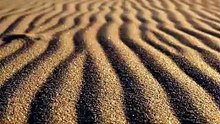 🌬️ Rippling Sands | Wind-Formed Desert Patterns