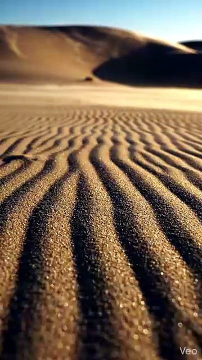🌬️ Rippling Sands | Wind-Formed Desert Patterns