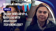 Palace: How can VP Sara lead with insufficient tech knowledge?
