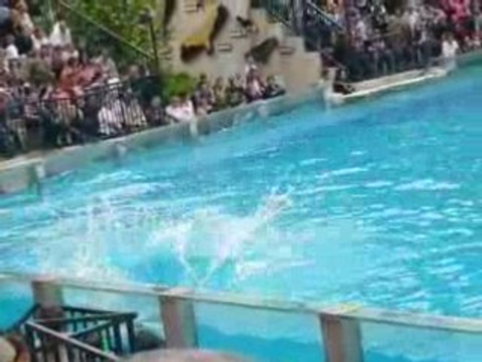 zoo