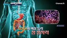 장 건강이 다이어트의 핵심? 화제의 'BNR17' 유산균 집중 분석