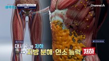 중년 다이어트의 구원투수! 지방 태우는 'BNR17'의 놀라운 효과