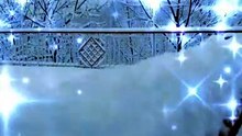Beautiful view of a Snow fall