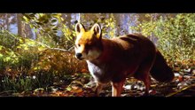 Hunting Simulator 3 - Gameplay Trailer