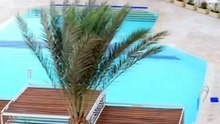 Sunrise Select Holidays Resort Egipt Hurghada All Inclusive