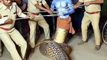Ye kya aa gaya dekho jaldi