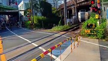 Oshiya, Profesi Unik Di Jepang Mendorong Orang Masuk Kereta