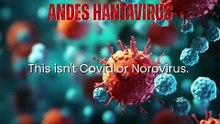 Cruise Ship Hantavirus Outbreak | MV Hondius | Virus | Covid | Norovirus | Rodent Droppings | Person-to-Person | Close Contact | 8-week incubation Window | Global Health Hunt | Britain | Spain | Quarantine | WHO | World Health Organization | Rare Regional