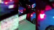 Cecina, colpo in una gioielleria: la spaccata, il "duello" con le guardie giurate e la fuga