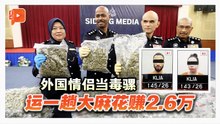 外国情侣当毒骡 运一趟大麻花赚2.6万