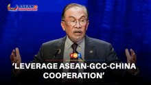 Leverage Asean-GCC-China cooperation for energy security, says Anwar