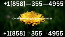 !!Complete™ List of Coinbase™ Official Customer Service℗ Phone Number Guide Step-by-Step Help & Support Coinbase™