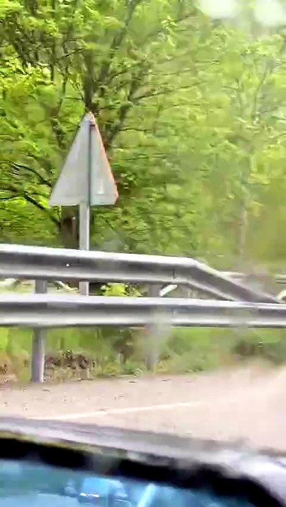 Dos osos sorprenden a los conductores entre Villager y Orallo